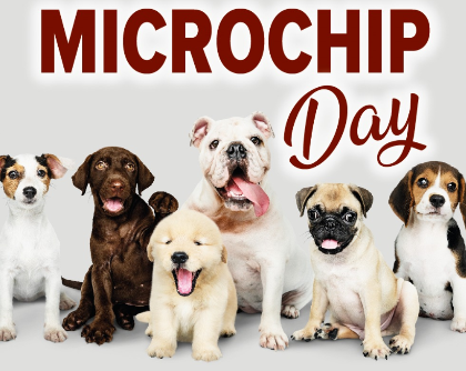 Microchip Day! Giornata del microchip gratuito – Domenica 14 aprile al Parco Le Vallette dalle 09,00 alle 13,00
