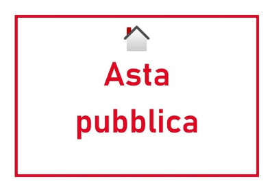 asta pubblica icon