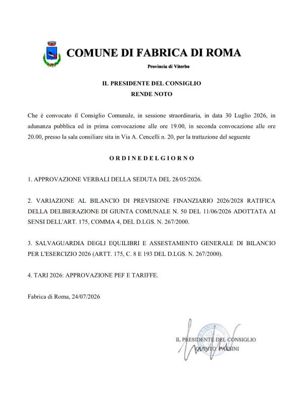 consiglio_30-07